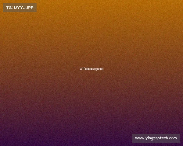 WIR电子竞技、wg电子竞技